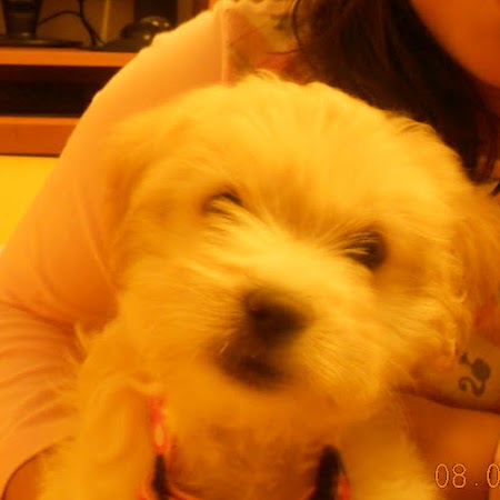 Nancy Guevara Photo 31