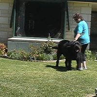 Suzanne Muir Photo 7