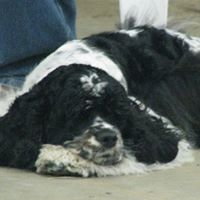 Nancy Easterling Photo 19