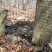 Elizabeth Vance Photo 40