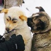 Kelly Zheng Photo 29