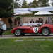 David Colberg Photo 9