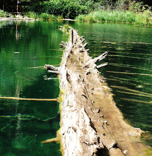 Scott Mackey Photo 12