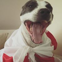 Laura Broadhead Photo 11