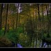 Jan Wald Photo 7