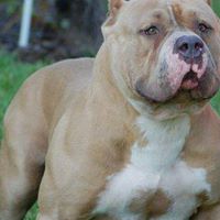 Travis Mcknight Photo 13