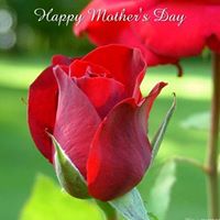 Cristal Robles Photo 22