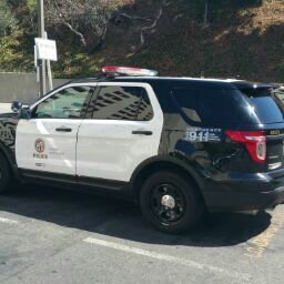 Ramon Madrid Photo 22