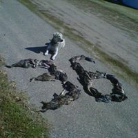 Ryan Hendrickson Photo 36 Ryan Hendrickson Photo 36