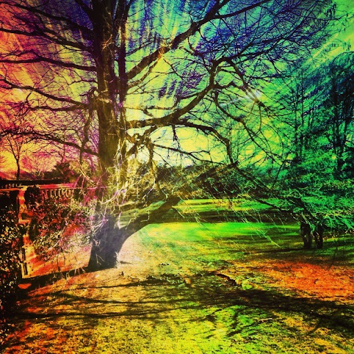 Hannah Wagner Photo 12