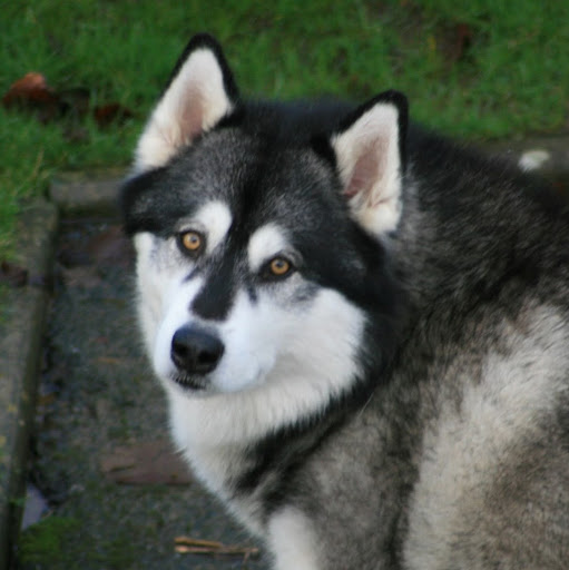 David Luker Photo 30