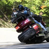 Sharon Sisson Photo 17