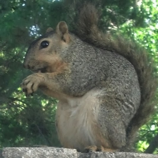 Robert Collier Photo 22