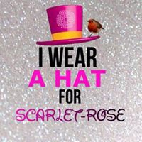 Debbie Bradshaw Photo 20