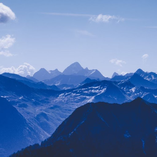 Jacqueline Phillips Photo 15