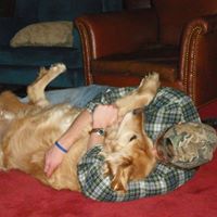 Jason Gilliland Photo 31