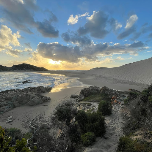 Bruce Nicholson Photo 46 Bruce Nicholson Photo 46