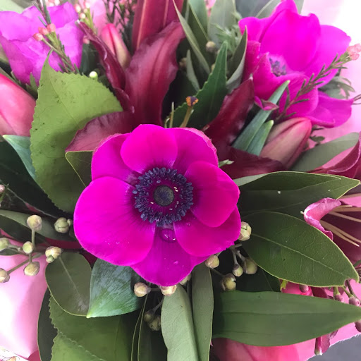 Julia Duncan Photo 39 Julia Duncan Photo 39