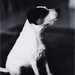 Jack Nix Photo 7