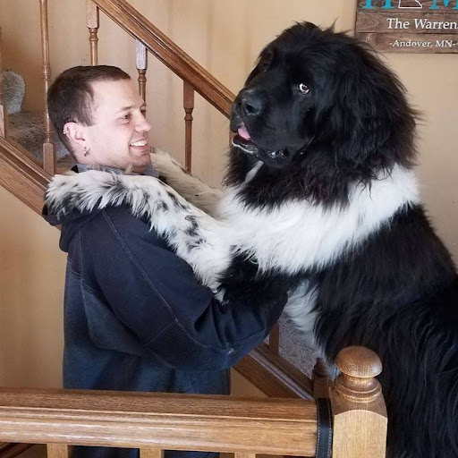 John Warren Photo 59 John Warren Photo 59