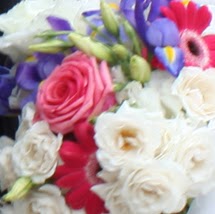 Patti Clapp Photo 6