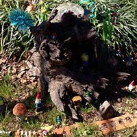 Lori Cleveland Photo 12