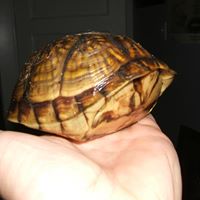 Gregory Bloom Photo 6