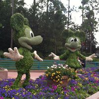 Cindy Wilkinson Photo 10