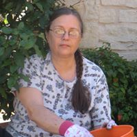 Janet Hodge Photo 16
