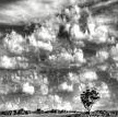 Amy Mcnulty Photo 26