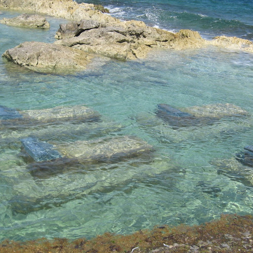 Scott Wiener Photo 12