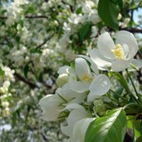 Debbie Braden Photo 10