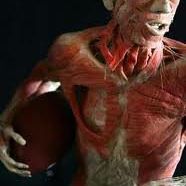 Glenn Monroe Photo 10