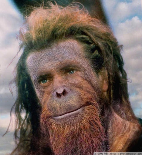 Robert Houghton Photo 38