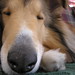Bailey Brown Photo 11