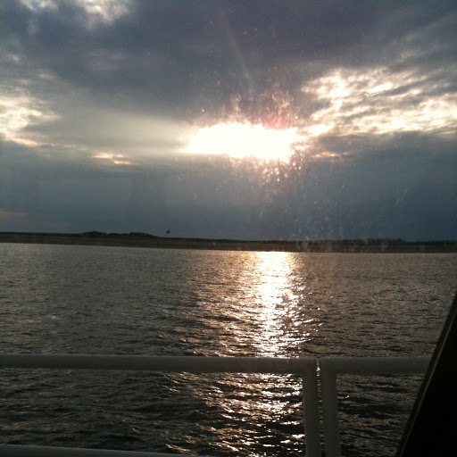 Julie Martin Photo 45