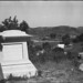 Russell Taylor Photo 52