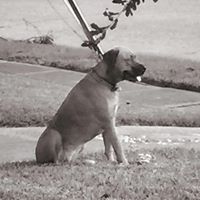 Jeffery Pickett Photo 15