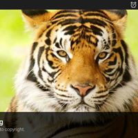 Sandra Bowling Photo 20