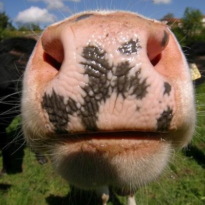 Ralph Lange Photo 15