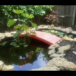 Rochelle Hart Photo 12