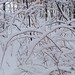 Kathie Winters Photo 10
