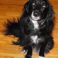 Christine Matteson Photo 11