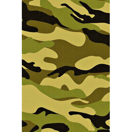 Robert Pitzer Photo 15