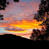 Janet Bernhardt Photo 4