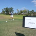 Mark Sokolowski Photo 25