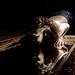 Daisy Jimenez Photo 39