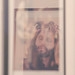 Frank Pazzi Photo 6