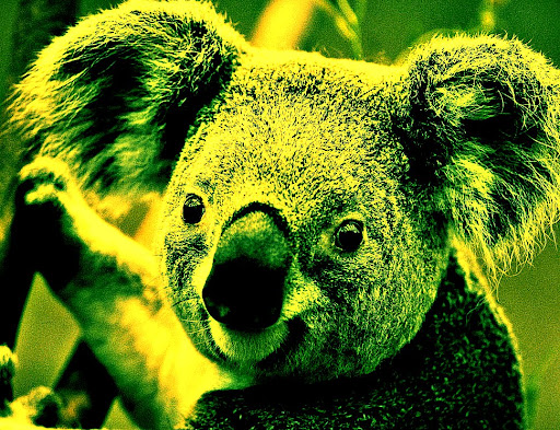 Aaron Simpson Photo 11