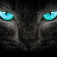 Tracy Zumwalt Photo 1